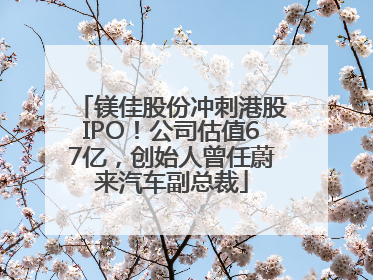 镁佳股份冲刺港股IPO！公司估值67亿，创始人曾任蔚来汽车副总裁