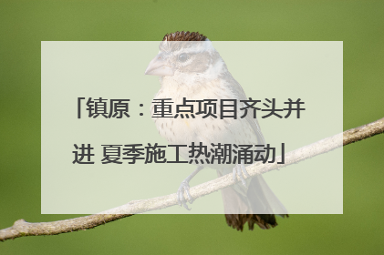 镇原：重点项目齐头并进 夏季施工热潮涌动