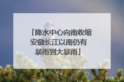 降水中心向南收缩 安徽长江以南仍有暴雨到大暴雨