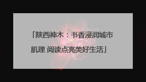 陕西神木：书香浸润城市肌理 阅读点亮美好生活