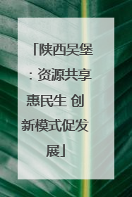 陕西吴堡：资源共享惠民生 创新模式促发展