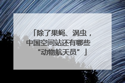 除了果蝇、涡虫，中国空间站还有哪些“动物航天员”