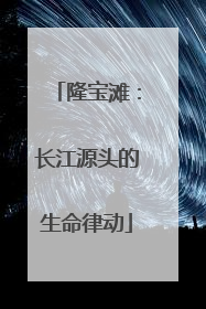 隆宝滩：长江源头的生命律动