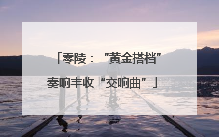 零陵：“黄金搭档”奏响丰收“交响曲”