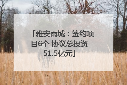 雅安雨城：签约项目6个 协议总投资51.5亿元