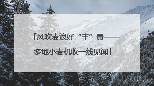 风吹麦浪好“丰”景——多地小麦机收一线见闻