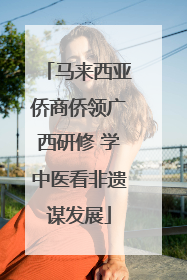 马来西亚侨商侨领广西研修 学中医看非遗谋发展