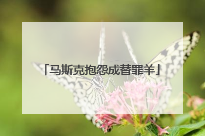 马斯克抱怨成替罪羊