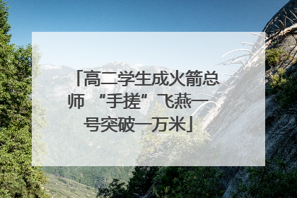 高二学生成火箭总师 “手搓”飞燕一号突破一万米