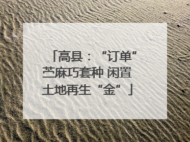 高县：“订单”苎麻巧套种 闲置土地再生“金”