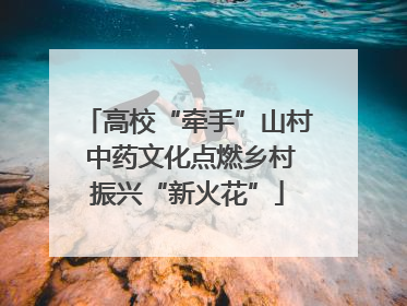 高校“牵手”山村 中药文化点燃乡村振兴“新火花”