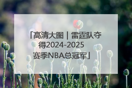 高清大图｜雷霆队夺得2024-2025赛季NBA总冠军