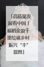 高质量发展看中国丨福稻金浪千重绘就乡村振兴“丰”景图
