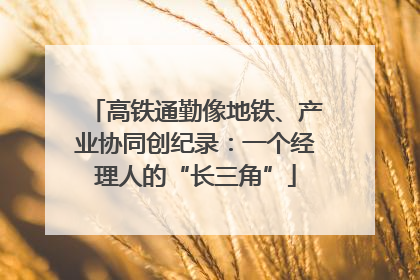 高铁通勤像地铁、产业协同创纪录：一个经理人的“长三角”