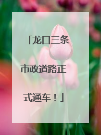 龙口三条市政道路正式通车！