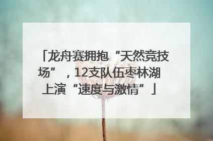 龙舟赛拥抱“天然竞技场”，12支队伍枣林湖上演“速度与激情”