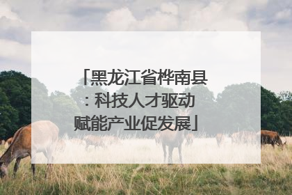 黑龙江省桦南县：科技人才驱动 赋能产业促发展
