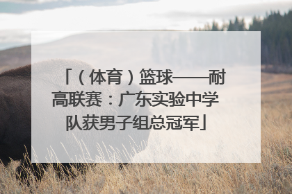 （体育）篮球——耐高联赛：广东实验中学队获男子组总冠军
