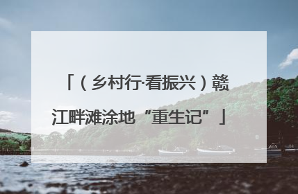 （乡村行·看振兴）赣江畔滩涂地“重生记”