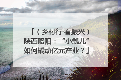 （乡村行·看振兴）陕西略阳：“小瓢儿”如何撬动亿元产业？