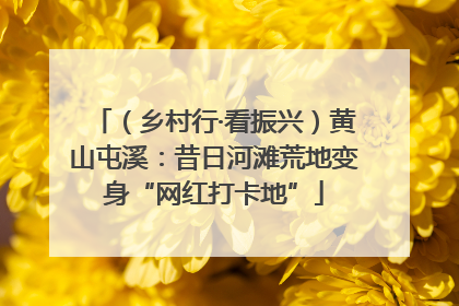 （乡村行·看振兴）黄山屯溪：昔日河滩荒地变身“网红打卡地”