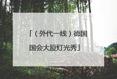 （外代一线）德国国会大厦灯光秀
