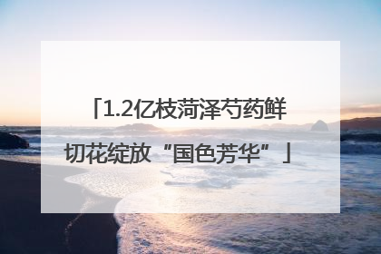 1.2亿枝菏泽芍药鲜切花绽放“国色芳华”