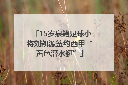 15岁泉籍足球小将刘凯源签约西甲“黄色潜水艇”