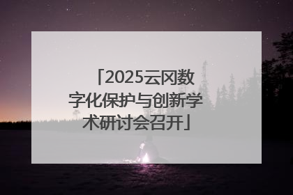 2025云冈数字化保护与创新学术研讨会召开