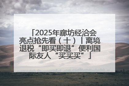2025年廊坊经洽会亮点抢先看（十）丨离境退税“即买即退”便利国际友人“买买买”