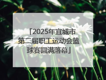 2025年宜城市第二届职工运动会篮球赛圆满落幕