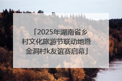2025年湖南省乡村文化旅游节联动地暨金洞村k友谊赛启幕