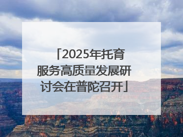 2025年托育服务高质量发展研讨会在普陀召开