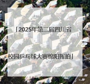 2025年第二届四川省校园乒乓球大赛绵阳挥拍
