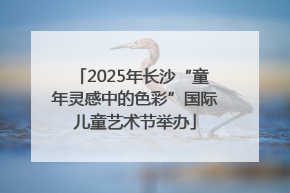 2025年长沙“童年灵感中的色彩”国际儿童艺术节举办