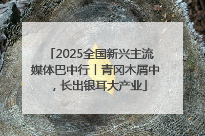 2025全国新兴主流媒体巴中行丨青冈木屑中，长出银耳大产业