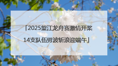 2025望江龙舟赛激情开桨 14支队伍劈波斩浪迎端午