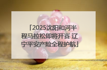 2025沈阳和河半程马拉松即将开赛 辽宁平安产险全程护航