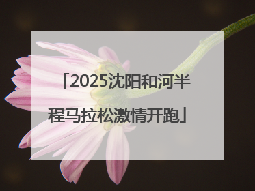 2025沈阳和河半程马拉松激情开跑