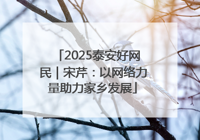 2025泰安好网民｜宋芹：以网络力量助力家乡发展