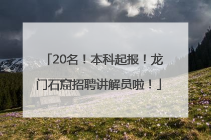 20名！本科起报！龙门石窟招聘讲解员啦！