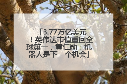 3.77万亿美元！英伟达市值重回全球第一，黄仁勋：机器人是下一个机会