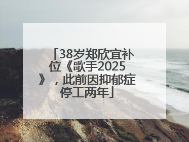 38岁郑欣宜补位《歌手2025》，此前因抑郁症停工两年