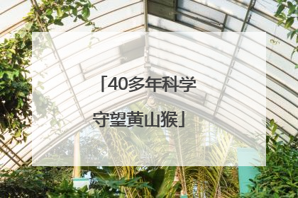 40多年科学守望黄山猴