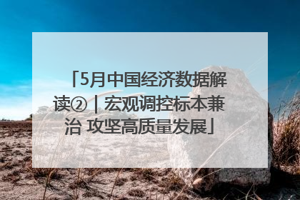 5月中国经济数据解读②｜宏观调控标本兼治 攻坚高质量发展