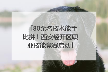 80余名技术能手比拼！西安经开区职业技能竞赛启动