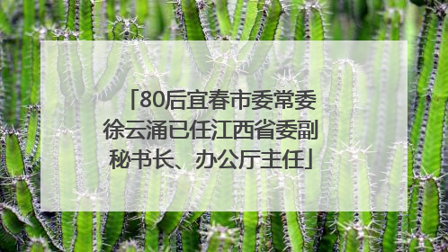 80后宜春市委常委徐云涌已任江西省委副秘书长、办公厅主任