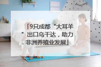 9只成都“大耳羊”出口乌干达，助力非洲养殖业发展