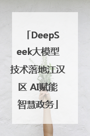 DeepSeek大模型技术落地江汉区 AI赋能智慧政务
